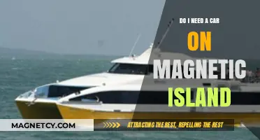 Exploring Magnetic Island: Car-Free or Wheels Necessary?