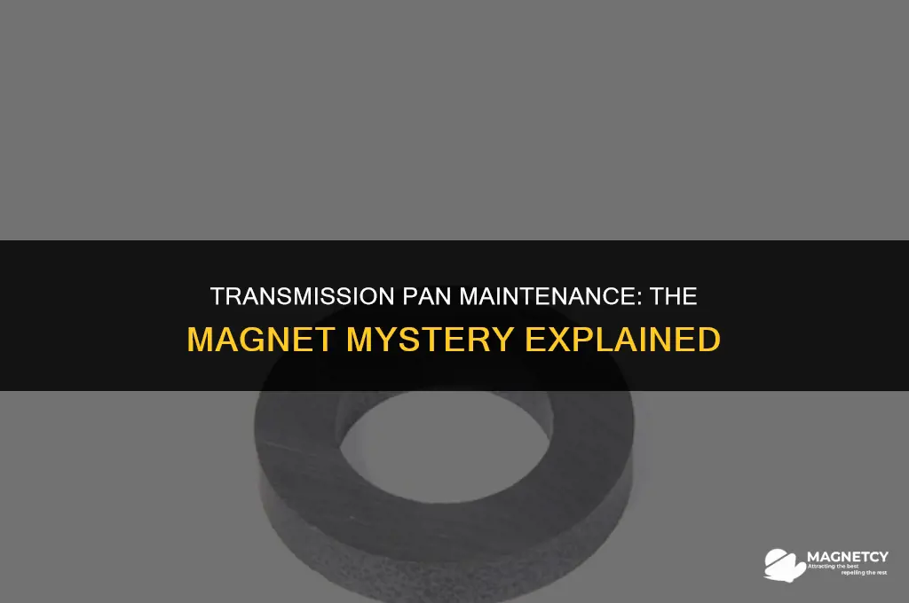 do i need a magnet in my transmission pan