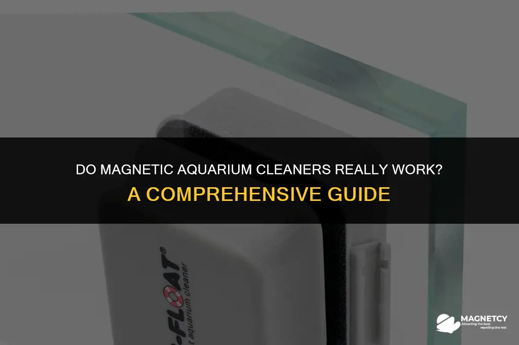 do i need a magnetic aquarium cleaners work