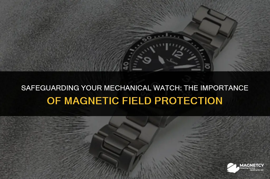 do i need magnetic field protection mechanical wach