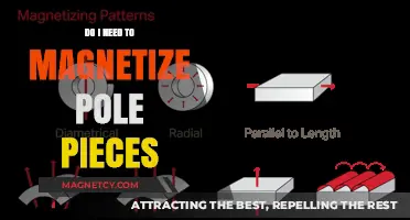 Understanding Magnetization: A Guide to Pole Pieces in Electric Motors