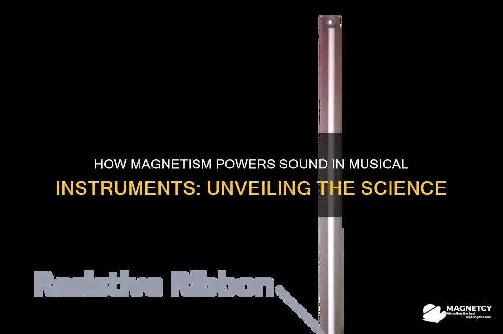 do instruments use magnetism to make sound