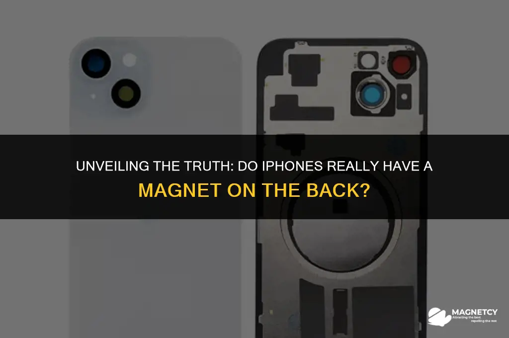 do iphones have a magnet on the back