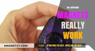 Exploring the Effectiveness of Ladycare Magnets: A Comprehensive Review