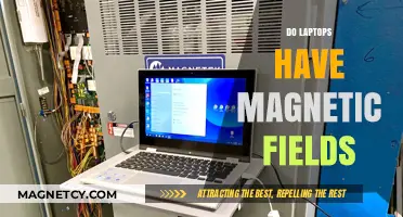 Exploring the Magnetic Fields of Laptops: Facts and Myths