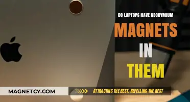 Exploring the Role of Neodymium Magnets in Modern Laptops