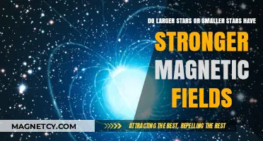 Unraveling the Mystery: Star Size and Magnetic Field Strength