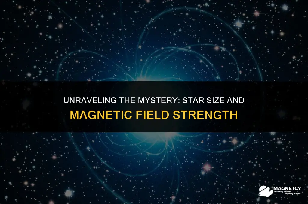 do larger stars or smaller stars have stronger magnetic fields