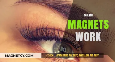 Exploring the Effectiveness of Lash Magnets: A Comprehensive Guide