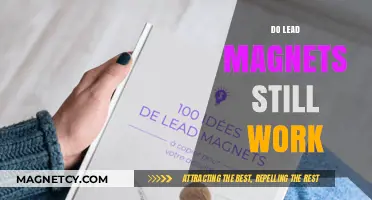 The Enduring Power of Lead Magnets: A 2024 Update
