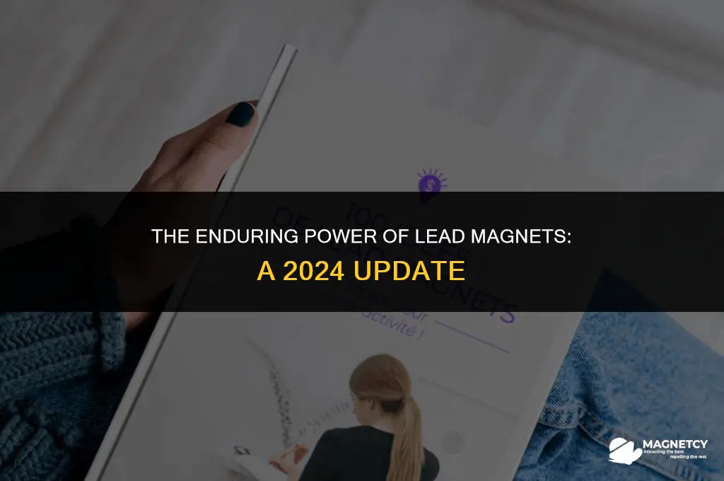 do lead magnets still work