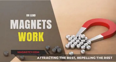 Unlocking the Power of Lead Magnets: A Comprehensive Guide