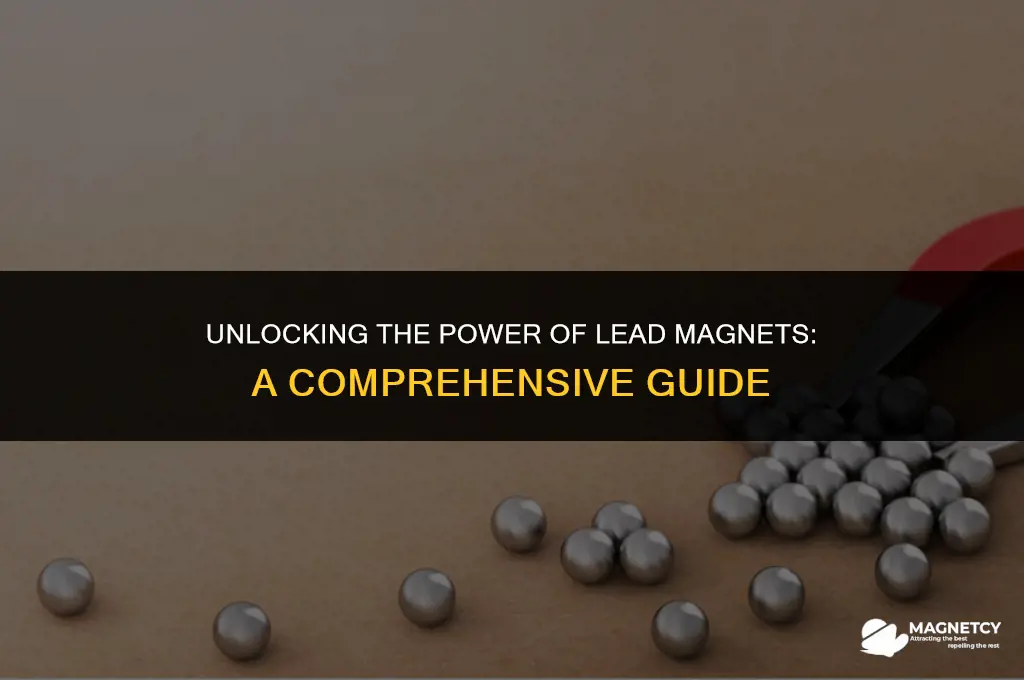 do lead magnets work