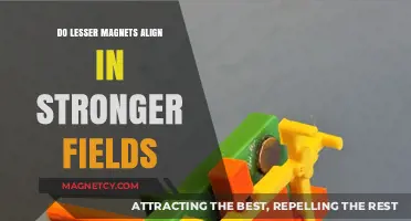 Exploring Magnetic Alignment: Do Lesser Magnets Conform in Stronger Fields?