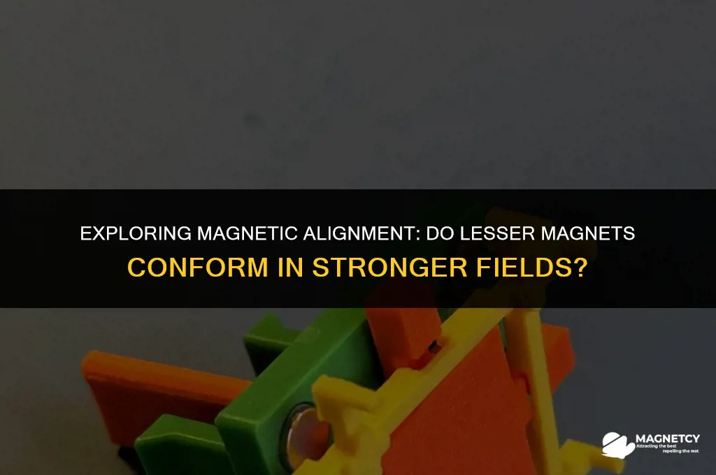 do lesser magnets align in stronger fields