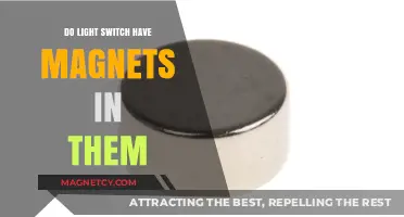 Exploring the Hidden Forces: Do Light Switches Harbor Magnets?