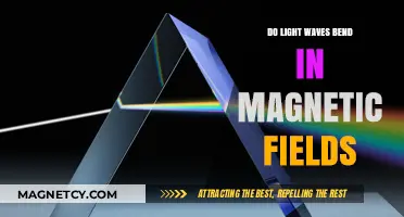 Exploring the Interaction: Light Waves and Magnetic Fields