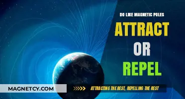 Magnetic Poles: Do Likes Attract or Repel? Unraveling the Mystery