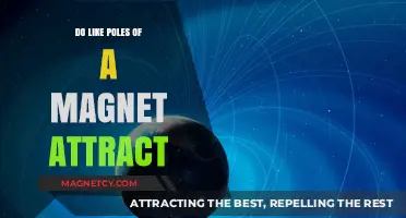Do Like Poles Attract? Unraveling the Magnetic Mystery