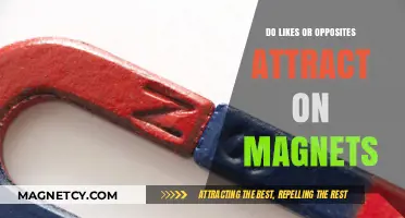 Magnetic Attraction: Do Likes or Opposites Truly Connect?