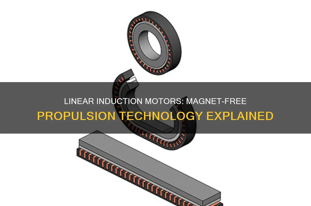 do linear induction motors use magnets