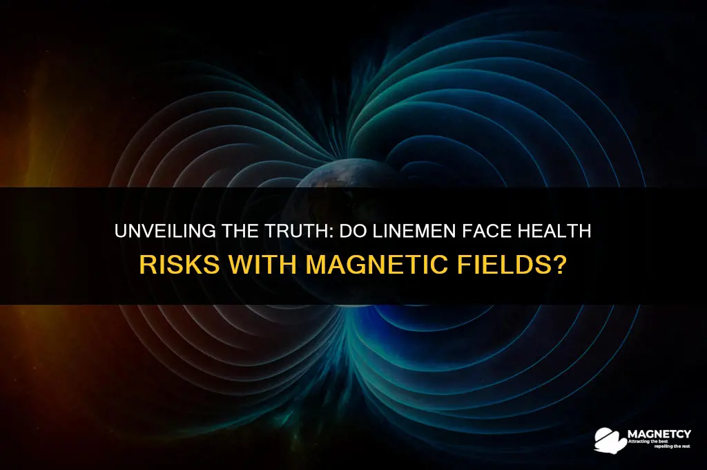 do linemen face health risks with magnetic fields