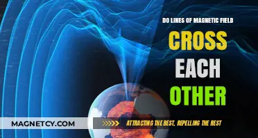 Exploring the Intersection of Magnetic Field Lines