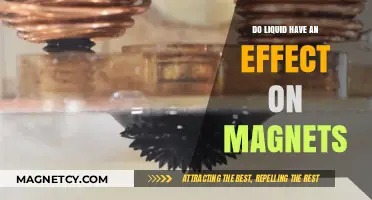 Exploring the Fascinating Interaction Between Liquids and Magnets