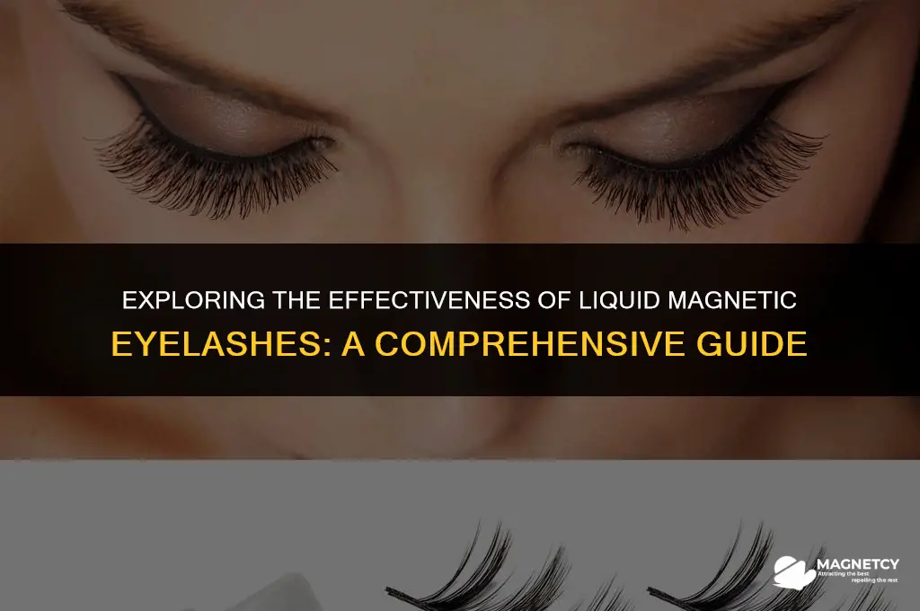 do liquid magnetic eyelashes work