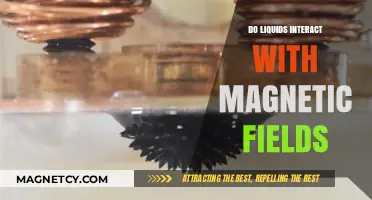 Exploring the Fascinating World of Liquid-Magnet Interactions