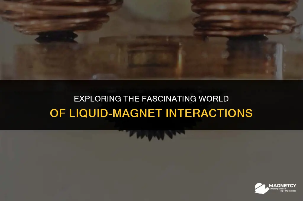 do liquids interact with magnetic fields