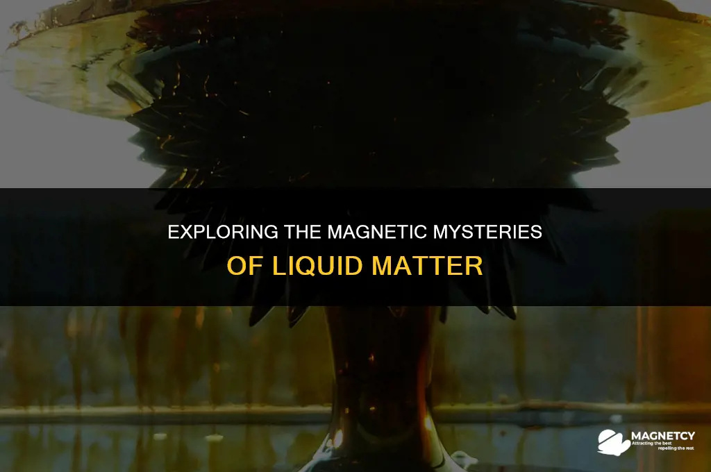 do liquids produce magnetic field