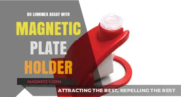 Streamline Your Luminex Assays with Magnetic Plate Holders