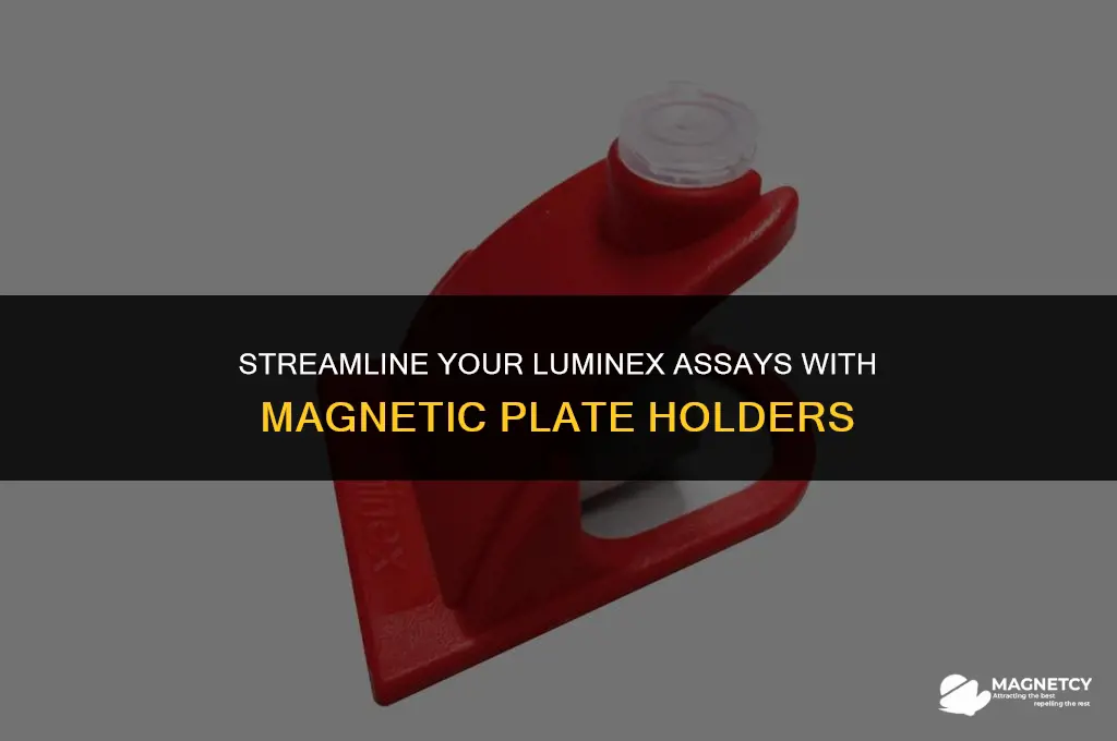 do luminex assay with magnetic plate holder