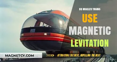 How Maglev Trains Utilize Magnetic Levitation for High-Speed Travel