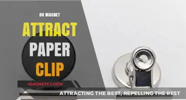 Do Magnets Attract Paper Clips? Unraveling the Magnetic Mystery