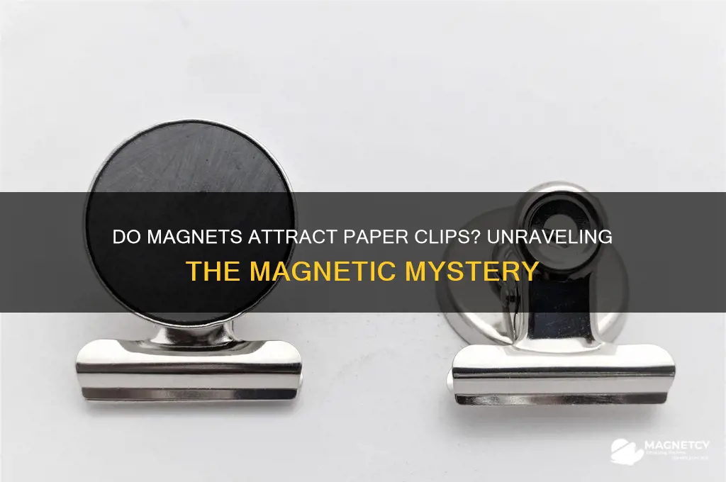 do magnet attract paper clip