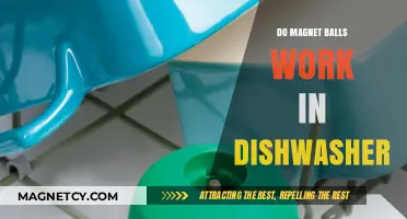 Decoding the Myth: Can Magnet Balls Survive a Dishwasher Cycle?