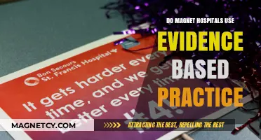 Evidence-Based Practice in Magnet Hospitals: Implementation and Impact Explored
