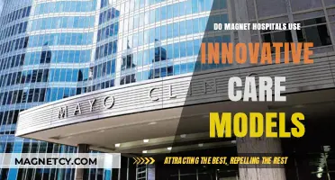 Innovative Care Models: Magnet Hospitals Leading the Way in Healthcare