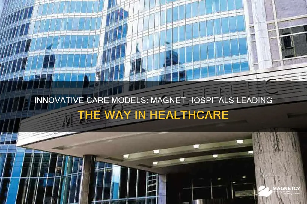 do magnet hospitals use innovative care models