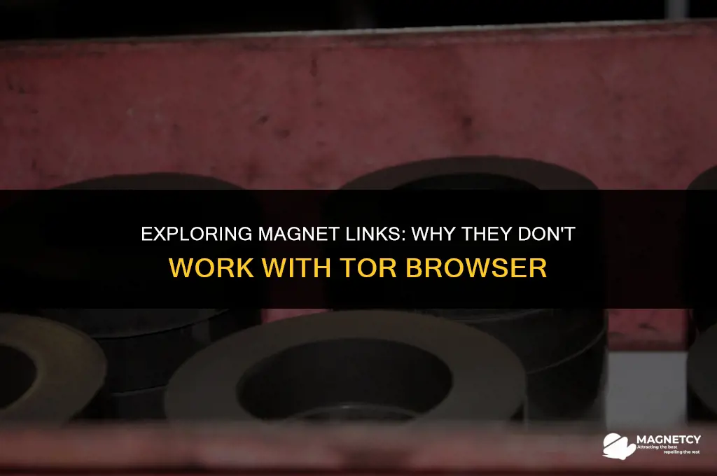 do magnet links not work with tor browser