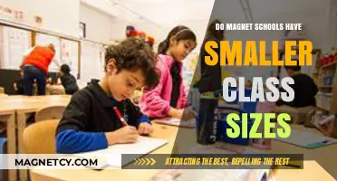 Exploring the Class Size Myth: Magnet Schools Under the Microscope