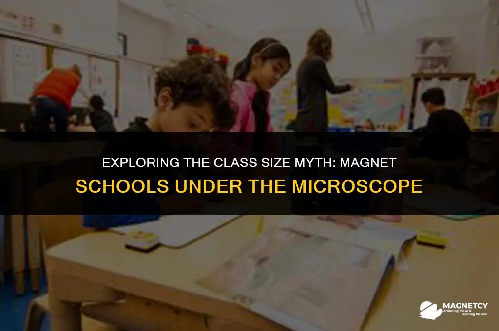 do magnet schools have smaller class sizes