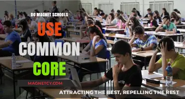 Do Magnet Schools Follow Common Core Standards? Exploring Curriculum Practices