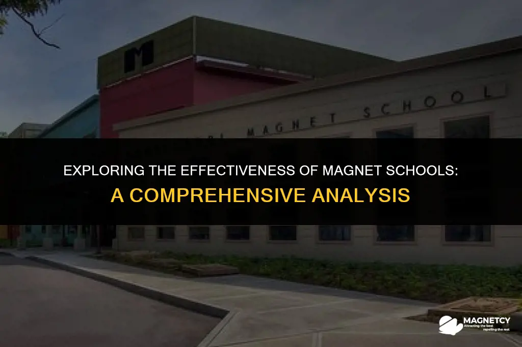 do magnet schools work