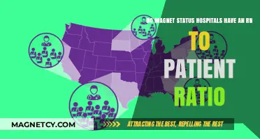Exploring RN-to-Patient Ratios in Magnet Status Hospitals: What You Need to Know