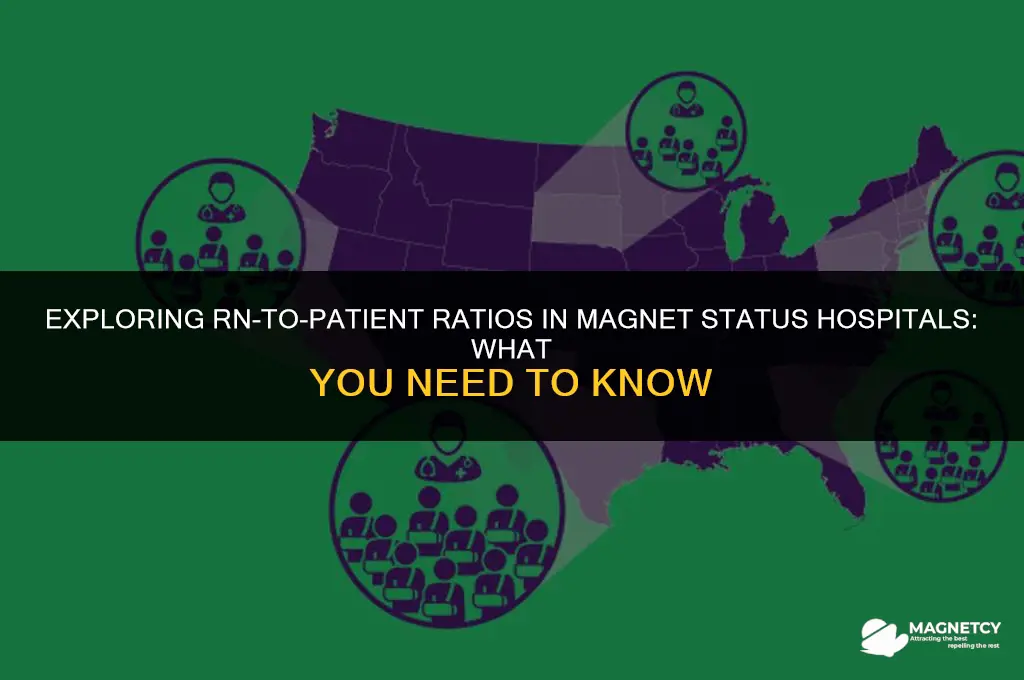 do magnet status hospitals have an rn to patient ratio