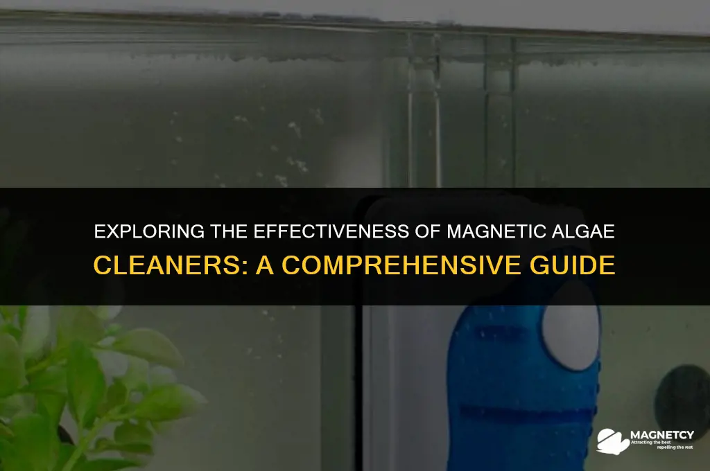do magnetic algae cleaners work