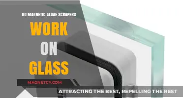 Exploring the Effectiveness of Magnetic Algae Scrapers on Glass Surfaces